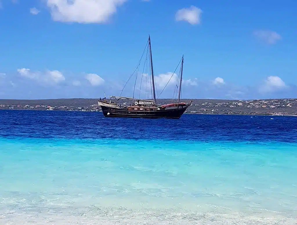 Siamese junk in Klein Bonaire, Bonaire