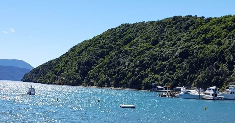 Picton cruise port in New Zealand