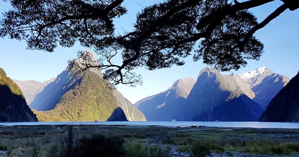 Milford Sound cruise port