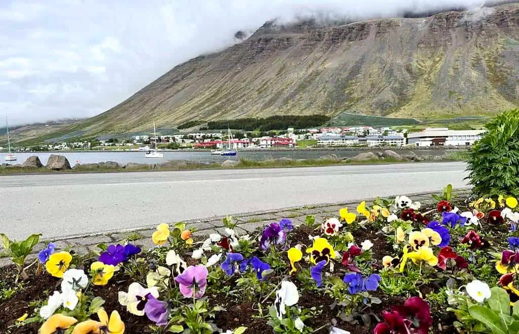 Isafjordur marina