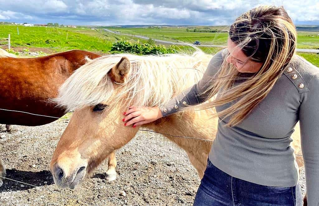 Icelandic countryside